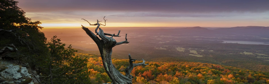 how to start a travel agency in Mississippi with the travel host agency, Travel Agent Pro