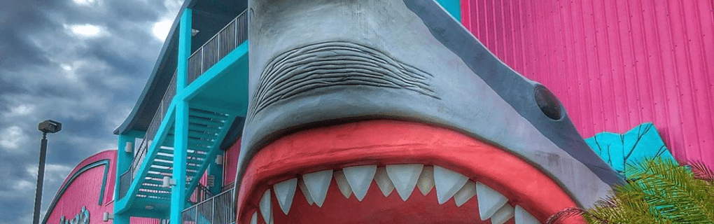 how to start a travel agency in Mississippi with the travel host agency, Travel Agent Pro