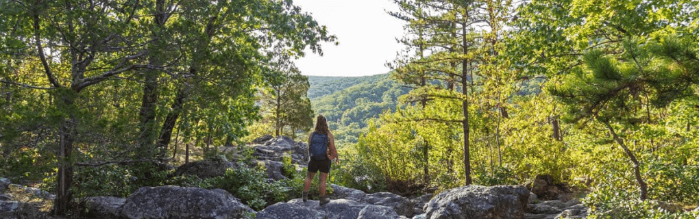 how to start a travel agency in Missouri with the travel host agency, Travel Agent Pro