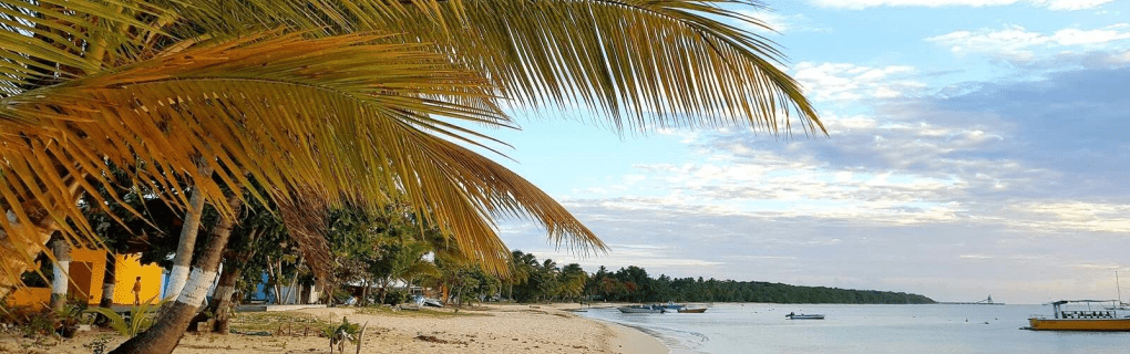 how to start a travel agency in Missouri with the travel host agency, Travel Agent Pro