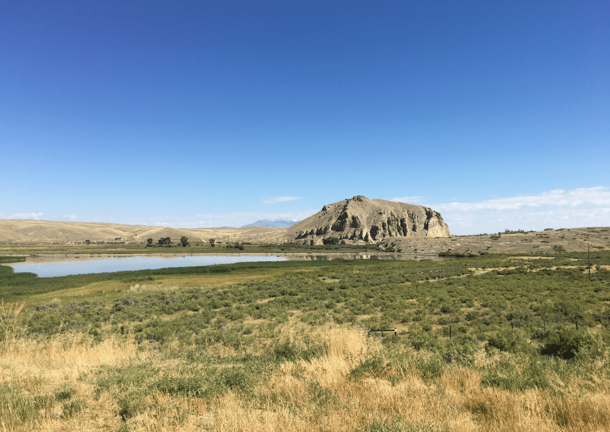 how to start a travel agency in montana