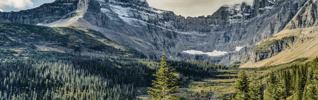 how to start a travel agency in Montana with the travel host agency, Travel Agent Pro