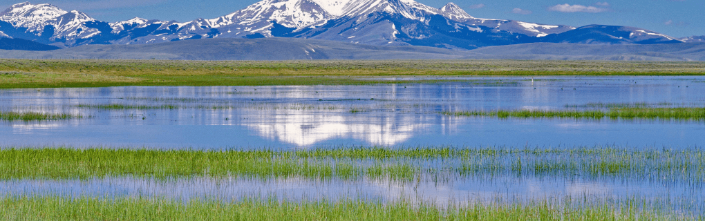 how to start a travel agency in Montana with the travel host agency, Travel Agent Pro