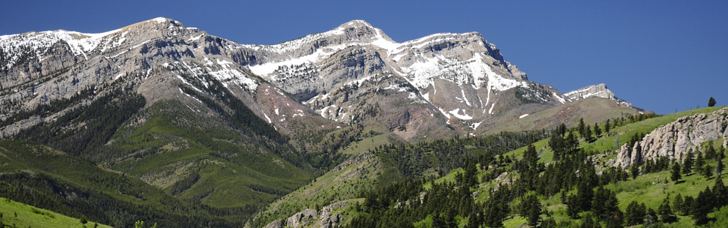 how to start a travel agency in Montana with the travel host agency, Travel Agent Pro