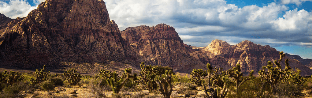 how to start a travel agency in Nevada with the travel host agency, Travel Agent Pro