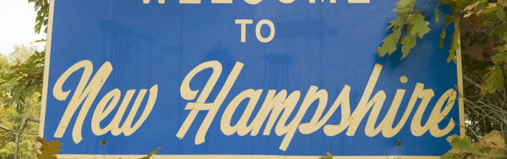 how to start a travel agency in New Hampshire with the travel host agency, Travel Agent Pro