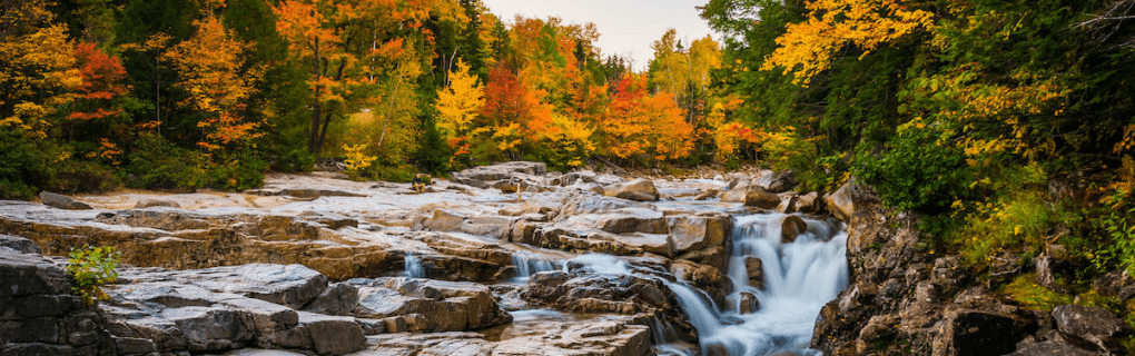 how to start a travel agency in New Hampshire with the travel host agency, Travel Agent Pro