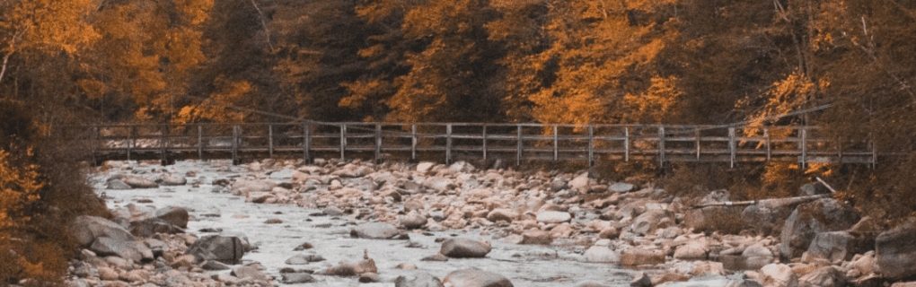 how to start a travel agency in New Hampshire with the travel host agency, Travel Agent Pro