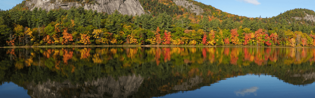 how to start a travel agency in New Hampshire with the travel host agency, Travel Agent Pro