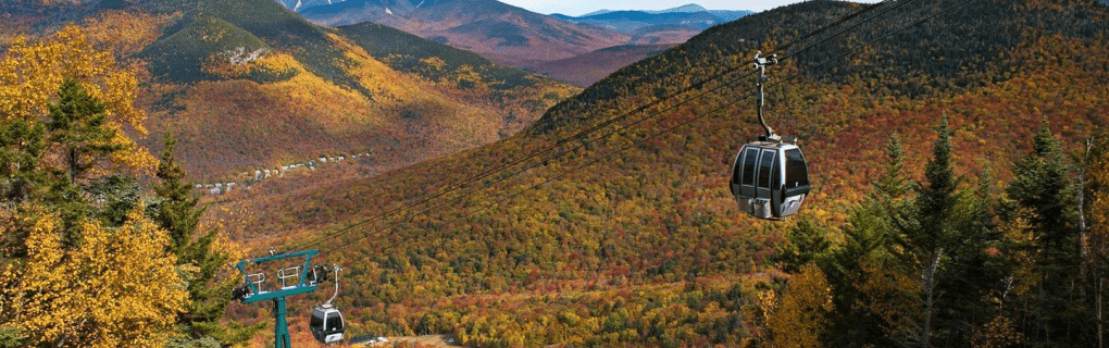 how to start a travel agency in New Hampshire with the travel host agency, Travel Agent Pro