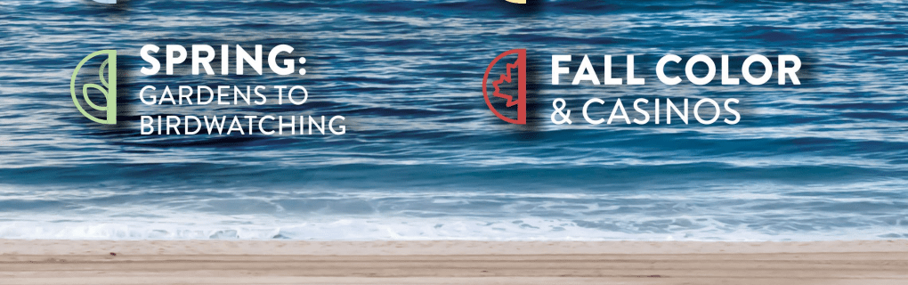 how to start a travel agency in New Jersey with the travel host agency, Travel Agent Pro