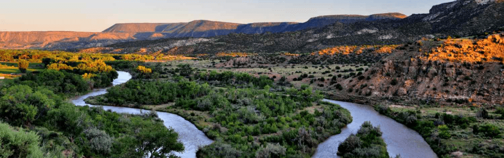 how to start a travel agency in New Mexico with the travel host agency, Travel Agent Pro