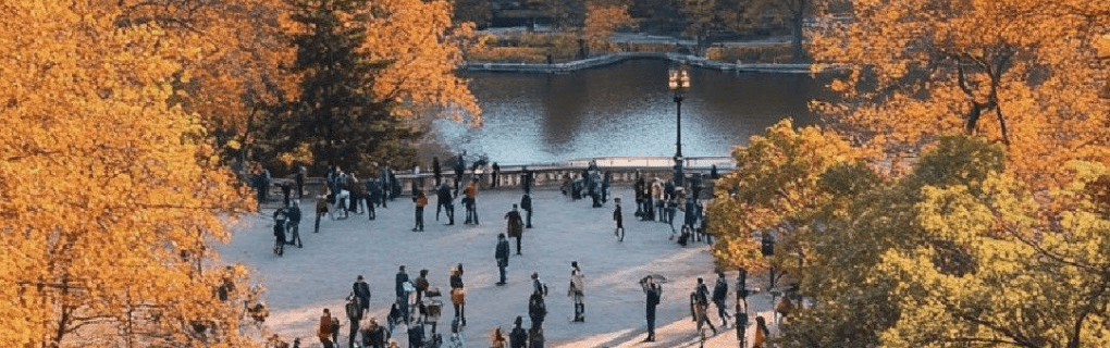 how to start a travel agency in New York with the travel host agency, Travel Agent Pro