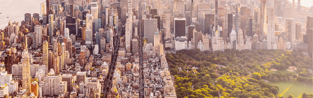 how to start a travel agency in New York with the travel host agency, Travel Agent Pro