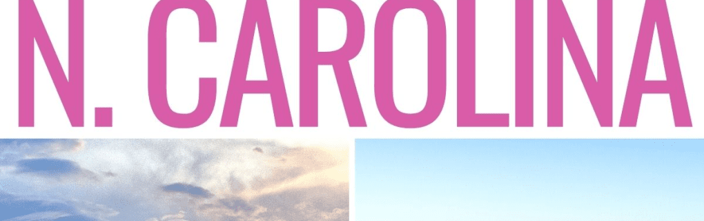 how to start a travel agency in North Carolina with the travel host agency, Travel Agent Pro