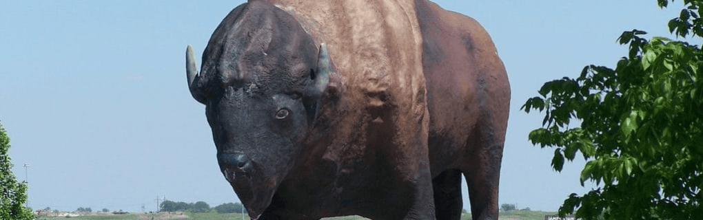 how to start a travel agency in North Dakota with the travel host agency, Travel Agent Pro