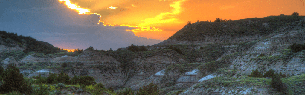 how to start a travel agency in North Dakota with the travel host agency, Travel Agent Pro