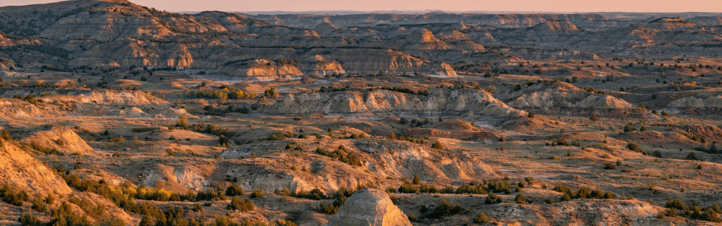 how to start a travel agency in North Dakota with the travel host agency, Travel Agent Pro