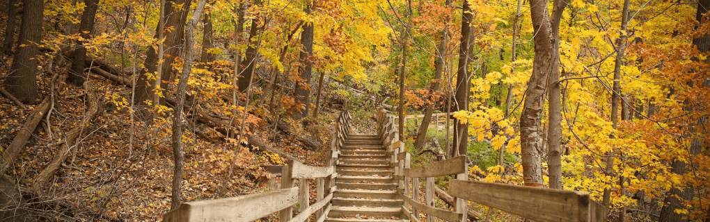 how to start a travel agency in Ohio with the travel host agency, Travel Agent Pro