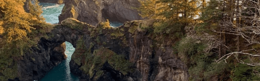 how to start a travel agency in Oregon with the travel host agency, Travel Agent Pro