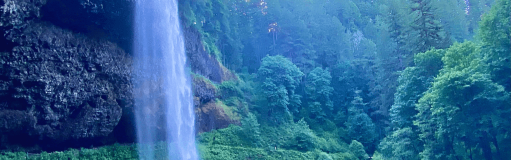 how to start a travel agency in Oregon with the travel host agency, Travel Agent Pro