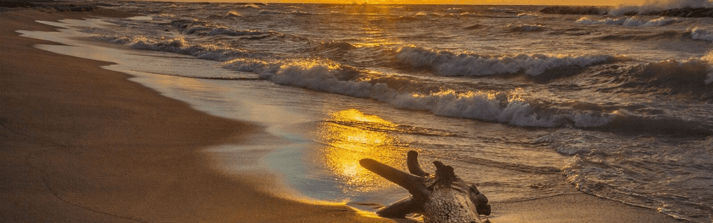 how to start a travel agency in Pennsylvania with the travel host agency, Travel Agent Pro