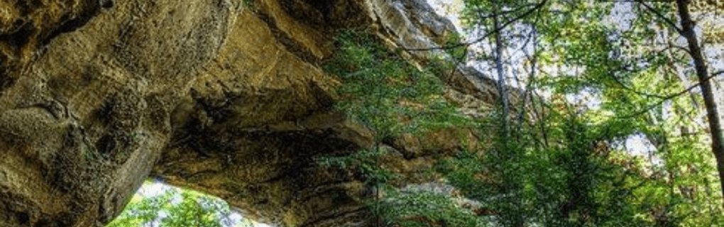 how to start a travel agency in Tennessee with the travel host agency, Travel Agent Pro