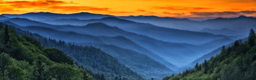 how to start a travel agency in Tennessee with the travel host agency, Travel Agent Pro