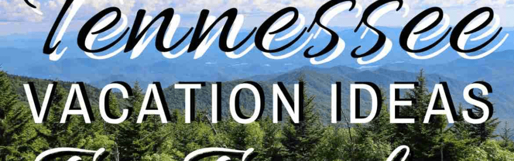 how to start a travel agency in Tennessee with the travel host agency, Travel Agent Pro