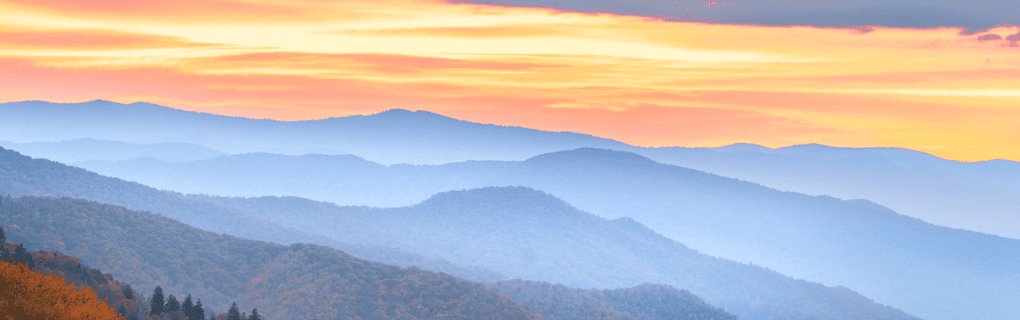 how to start a travel agency in Tennessee with the travel host agency, Travel Agent Pro