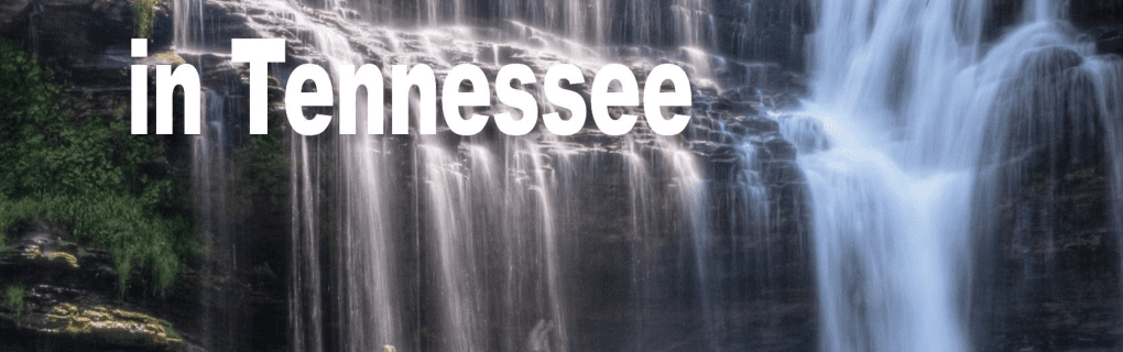 how to start a travel agency in Tennessee with the travel host agency, Travel Agent Pro