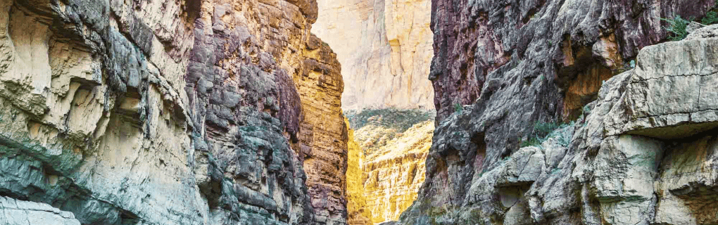 how to start a travel agency in Texas with the travel host agency, Travel Agent Pro