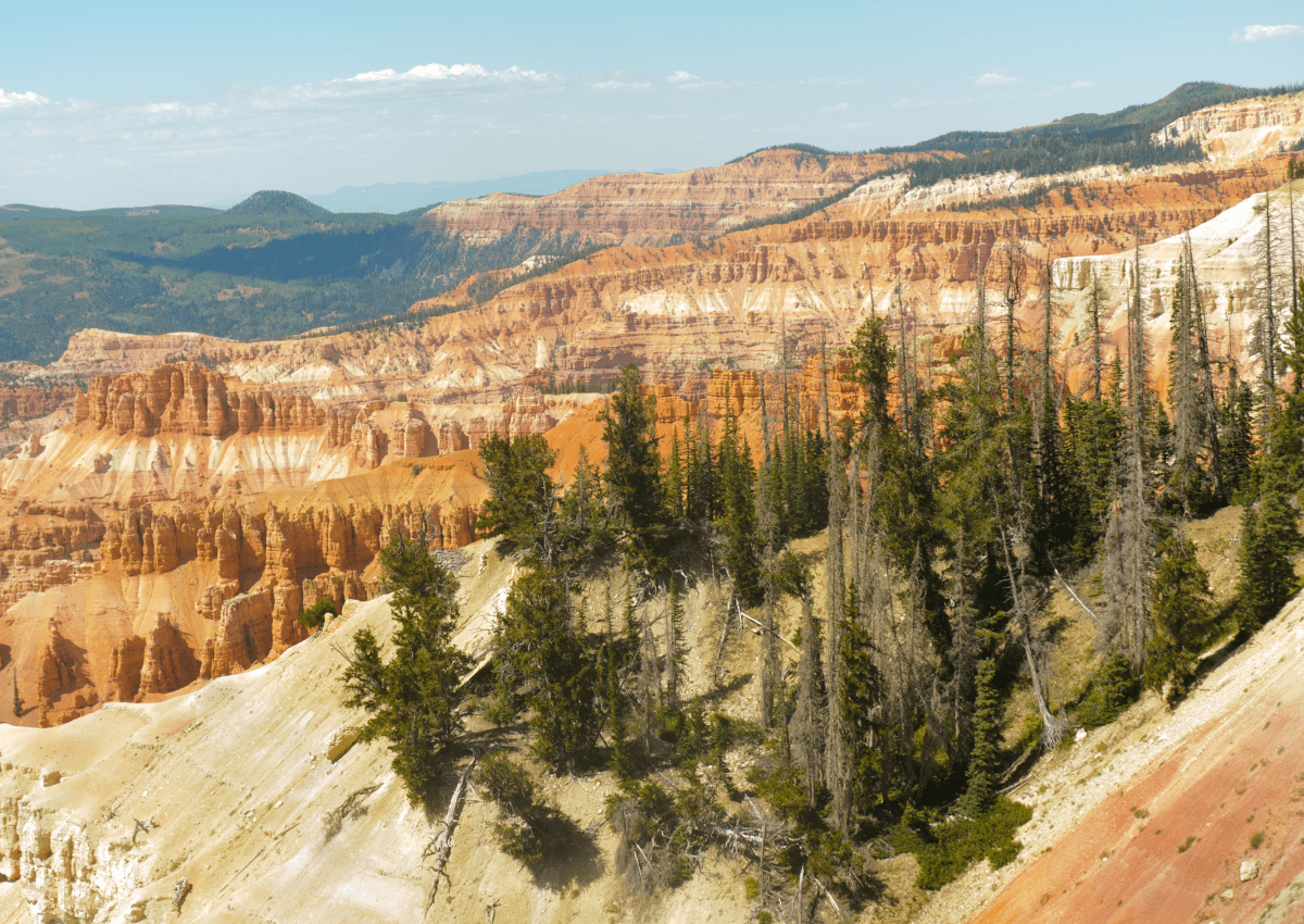 how to start a travel agency in utah