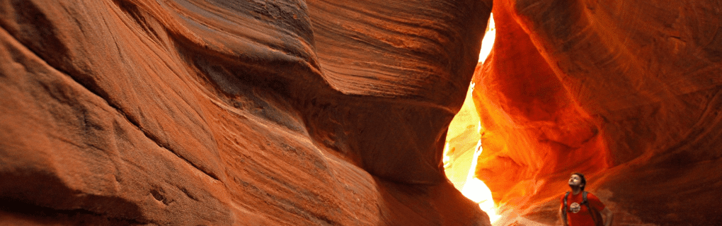 how to start a travel agency in Utah with the travel host agency, Travel Agent Pro