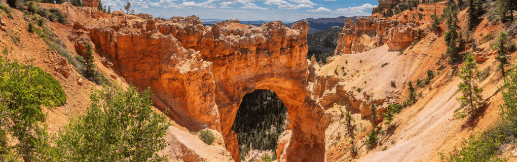 how to start a travel agency in Utah with the travel host agency, Travel Agent Pro