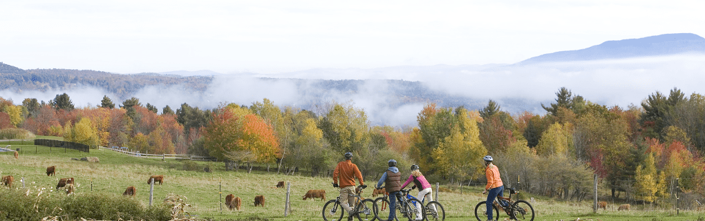 how to start a travel agency in Vermont with the travel host agency, Travel Agent Pro