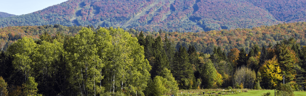 how to start a travel agency in Vermont with the travel host agency, Travel Agent Pro