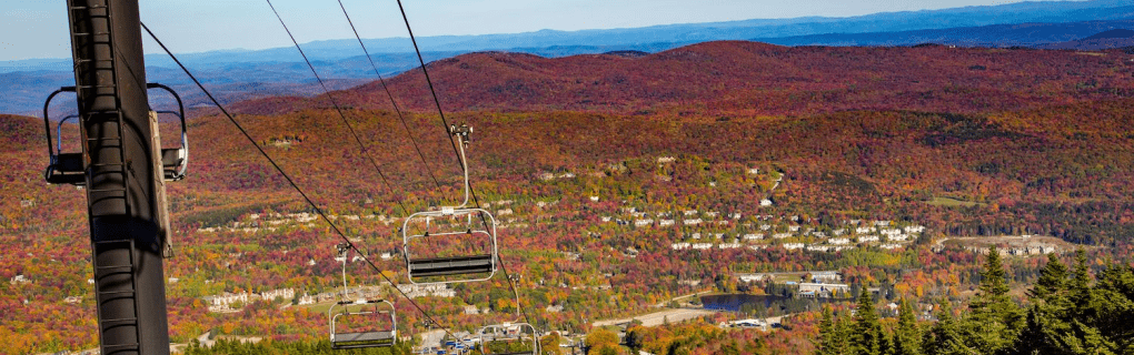 how to start a travel agency in Vermont with the travel host agency, Travel Agent Pro