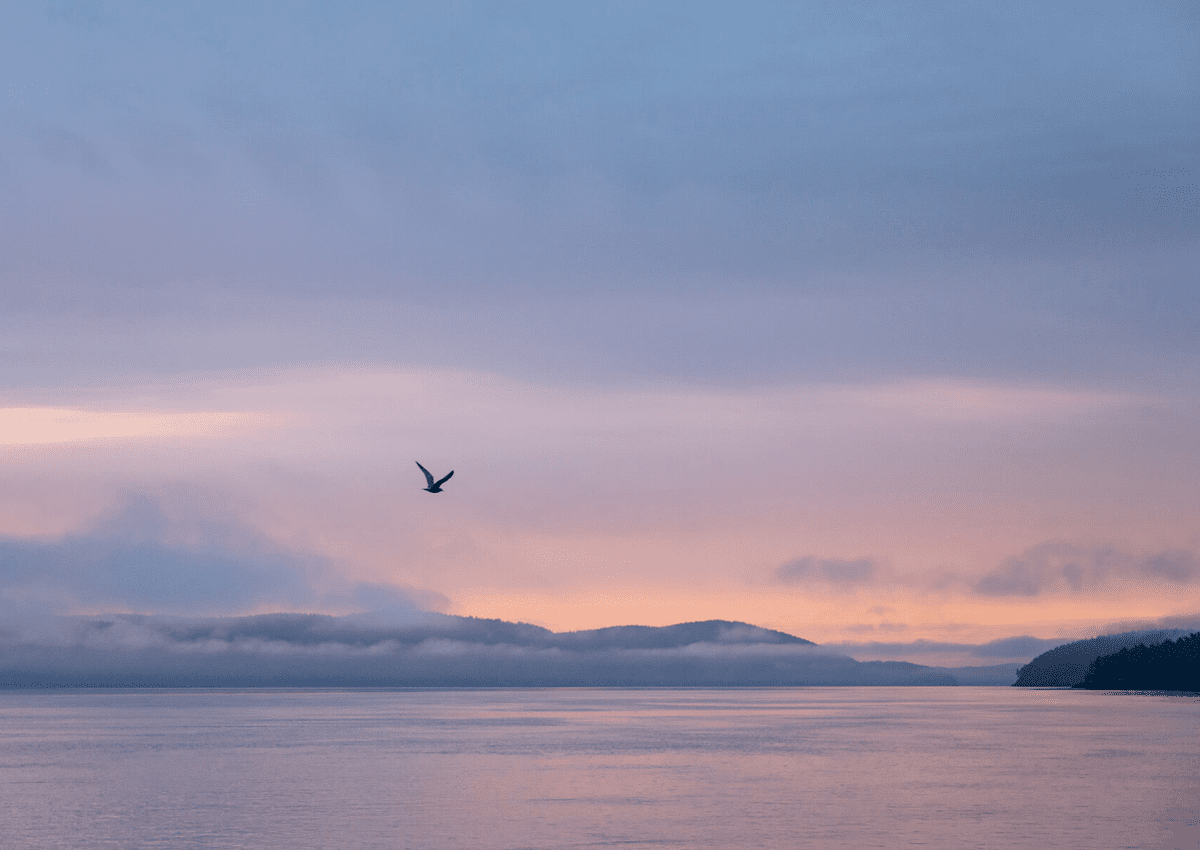 how to start a travel agency in washington