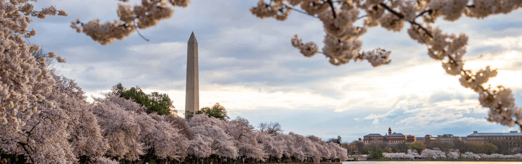 how to start a travel agency in Washington with the travel host agency, Travel Agent Pro