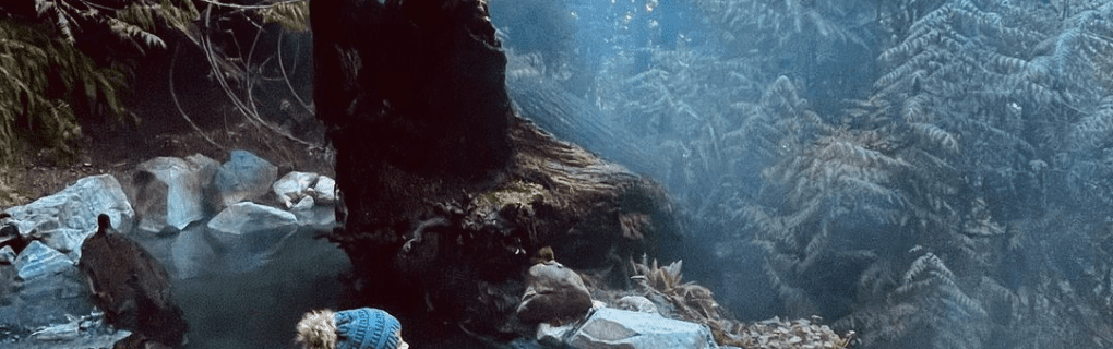 how to start a travel agency in Washington with the travel host agency, Travel Agent Pro