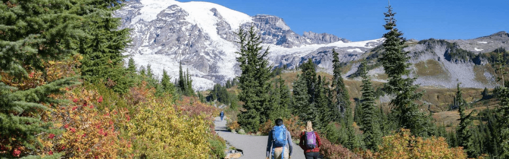 how to start a travel agency in Washington with the travel host agency, Travel Agent Pro