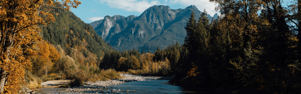 how to start a travel agency in Washington with the travel host agency, Travel Agent Pro