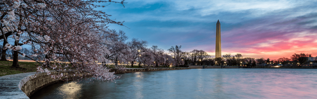 how to start a travel agency in Washington with the travel host agency, Travel Agent Pro