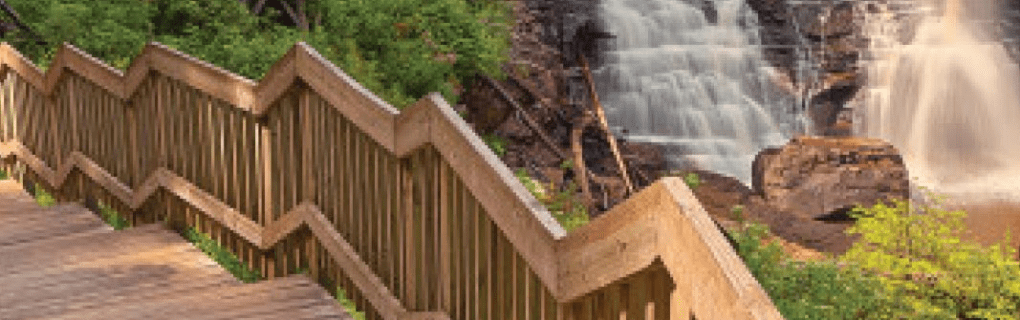 how to start a travel agency in West Virginia with the travel host agency, Travel Agent Pro