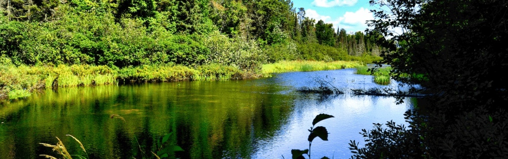 how to start a travel agency in Wisconsin with the travel host agency, Travel Agent Pro