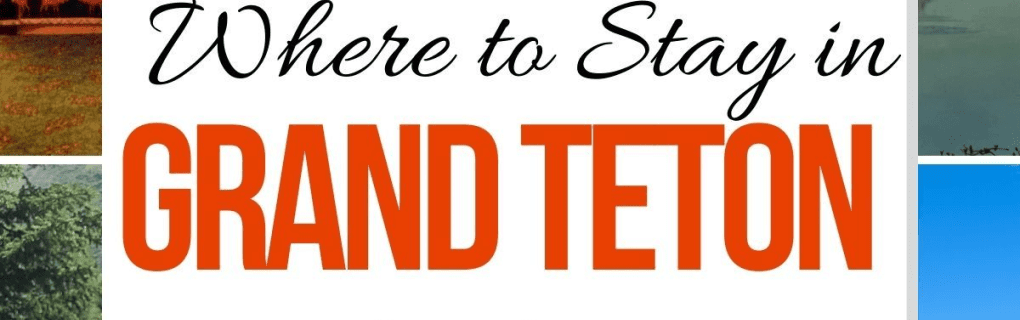 how to start a travel agency in Wyoming with the travel host agency, Travel Agent Pro