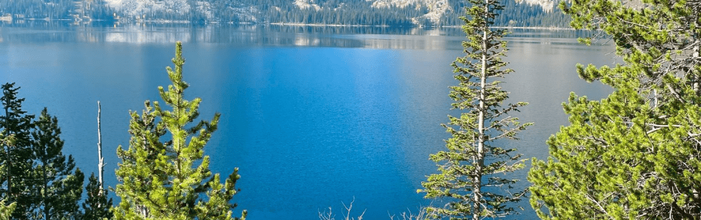 how to start a travel agency in Wyoming with the travel host agency, Travel Agent Pro