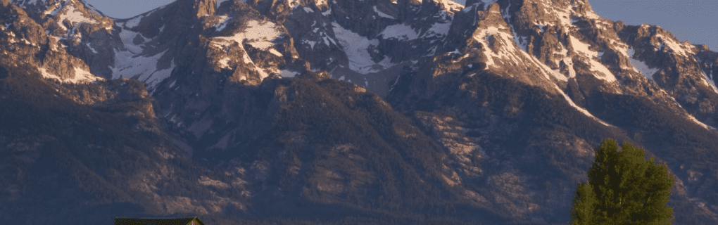 how to start a travel agency in Wyoming with the travel host agency, Travel Agent Pro