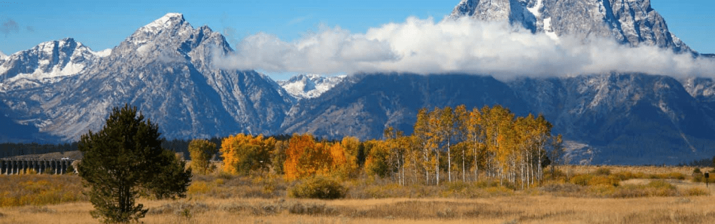 how to start a travel agency in Wyoming with the travel host agency, Travel Agent Pro